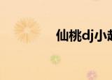 仙桃dj小赵嗨碟（仙桃dj）