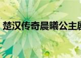 楚汉传奇晨曦公主剧照（楚汉传奇晨曦公主）