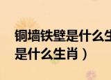铜墙铁壁是什么生肖,出什么数字（铜墙铁壁是什么生肖）