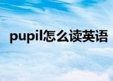 pupil怎么读英语（pupil英语读音是什么）