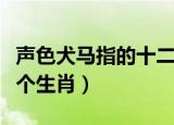 声色犬马指的十二生肖那一个（声色犬马打一个生肖）