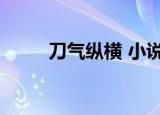 刀气纵横 小说（斗破之刀气纵横）