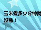 玉米煮多少分钟就可以吃了（怎样判断玉米熟没熟）