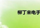 柳丁来电手机版（柳丁来电）
