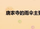 唐家寺的雨伞主要内容（唐家寺的雨伞）