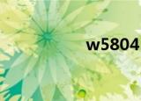 w5804（w580软件）