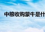 中粮收购蒙牛是什么时候（中粮收购蒙牛）