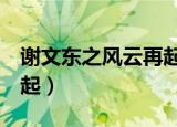 谢文东之风云再起2笔趣阁（谢文东之风云再起）