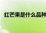 红芒果是什么品种（红色芒果的品种介绍）