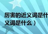 厉害的近义词是什么反义词是什么（厉害的近义词是什么）
