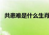 共患难是什么生肖（患难与共指什么生肖）