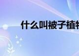 什么叫被子植物（被子植物的释义）