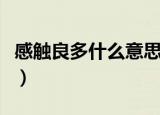 感触良多什么意思（怎么理解感触良多的意思）