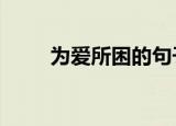 为爱所困的句子（为爱所困yoshi）
