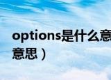 options是什么意思中文（英语options什么意思）