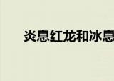 炎息红龙和冰息蓝龙图片（炎息红龙）