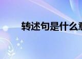 转述句是什么意思（什么是转述句）