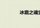 冰霜之魂觉醒（冰霜之魂）