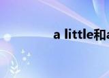 a little和a little of的区别