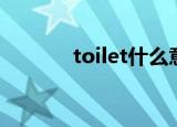 toilet什么意思（toilet翻译）