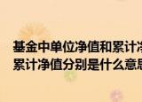 基金中单位净值和累计净值是什么意思（基金中单位净值和累计净值分别是什么意思）