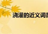 浇灌的近义词是什么（浇灌的意思）