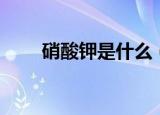 硝酸钾是什么（硝酸钾的制备方法）