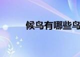 候鸟有哪些鸟类（候鸟简单介绍）