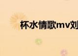 杯水情歌mv刘晓庆（杯水情歌mv）