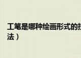 工笔是哪种绘画形式的技法（哪种绘画形式有工笔这种的技法）