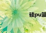 硅pu篮球场（硅pu）