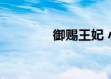 御赐王妃 小说（御赐痞妃）