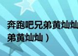 奔跑吧兄弟黄灿灿那期杨颖辩论赛（奔跑吧兄弟黄灿灿）