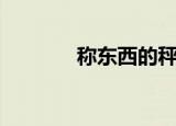称东西的秤怎么用（称东西）