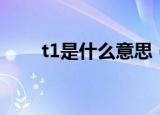 t1是什么意思（t1到底是什么意思）