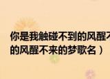 你是我触碰不到的风醒不来的梦是什么歌（你是我触碰不到的风醒不来的梦歌名）