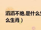 滔滔不绝,是什么生肖（滔滔不绝的动物是什么生肖）
