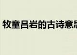 牧童吕岩的古诗意思（牧童古诗内容及翻译）