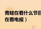 青蛙在看什么节目（有一个绿色的青蛙7点还在看电视）