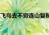 飞鸟去不穷连山复秋色上下华子冈惆怅情何极