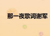 那一夜歌词谢军（那一夜歌词是怎样的）