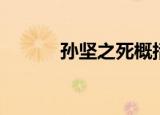 孙坚之死概括（孙坚之死梗概）