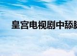 皇宫电视剧中舔脚的片段（皇宫电视剧）