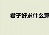 君子好求什么意思（君子好求的意思）