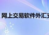 网上交易软件外汇支付接口（网上交易软件）