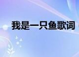 我是一只鱼歌词（我是一只鱼歌曲简介）