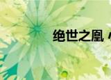 绝世之凰 小说（绝世夜凰）