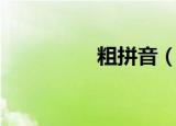 粗拼音（粗拼音是什么）