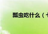 瓢虫吃什么（七星瓢虫以什么为食）