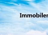 Immobilen24（immobile）